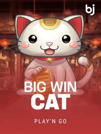 বিগ উইন ক্যাট